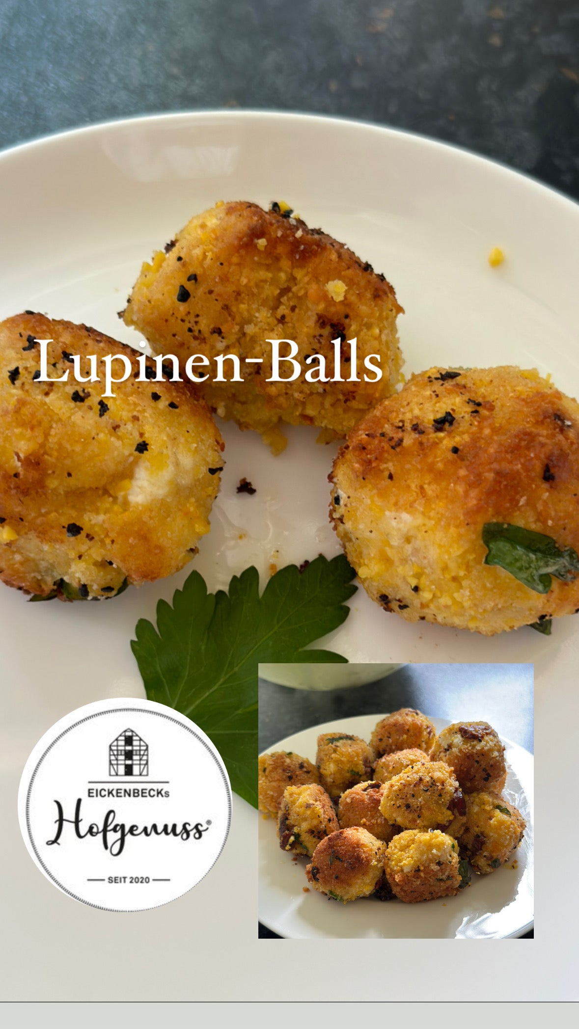 LUPINENSCHROT, proteinreich, basisch, regional angebaut, vielseitig einsetzbar! Schrot aus Hülsenfrüchten